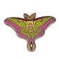 Excellent Quality Skull Butterfly Moth Enamel Lapel Pin Brooch Collection Celestial Moon Witch Badge Bag Spooky Halloween Decor
