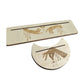 Wooden Tarot Card Display Card Holder Base Stable Durable Tarot Card Stand for Enthusiast Divination Altar Game Accessories