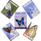 Universe Has Your Back Oracle Cards Leisure Party Table Game High Quality Fortune-telling Prophecy Tarot Deck With PDF Guidebook